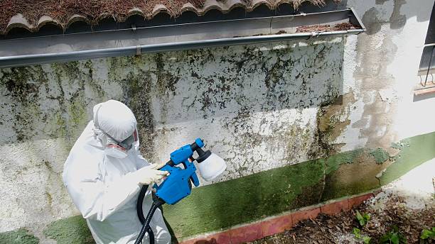 Trusted Bathroom Mold Removal service in Snow Shoe, PA - Cheap Mold Removal